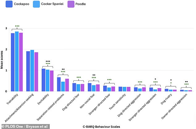 Cockapoos Face 44% Higher Risk of Severe Behavioral Issues, Study Reveals