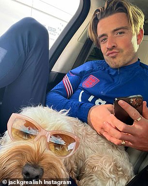 Cockapoos Face 44% Higher Risk of Severe Behavioral Issues, Study Reveals