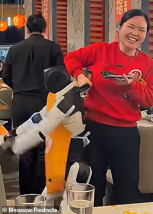 Rogue Dancing Robot Causes Chaos at Haidilao Restaurant in San Jose