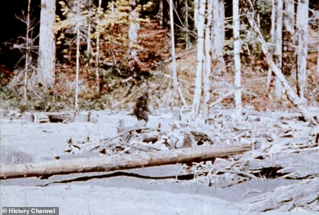 New Documentary Claims Patterson-Gimlin Film Was Staged, Reigniting 50-Year Bigfoot Debate