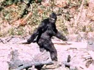 New Documentary Claims Patterson-Gimlin Film Was Staged, Reigniting 50-Year Bigfoot Debate