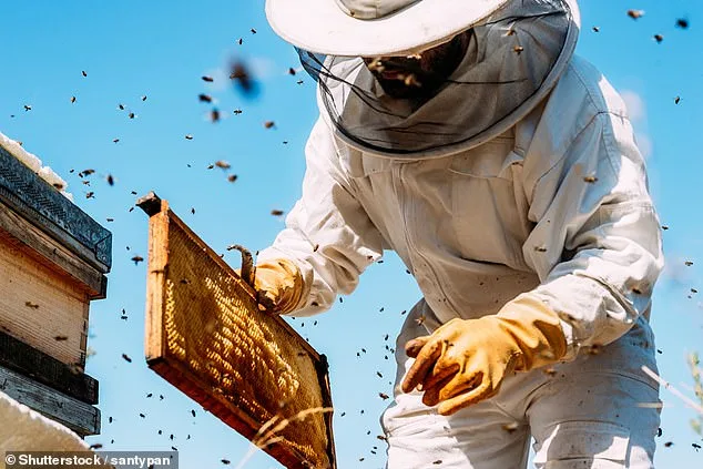 British Honey Found Contaminated with Prescription Medicines, Study Reveals