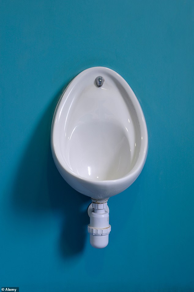 Health Experts Address Toilet Paper Debate After Urination: Survey Reveals Third of Men Skip Wiping