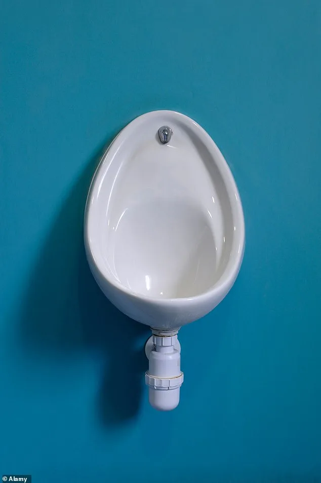 Health Experts Address Toilet Paper Debate After Urination: Survey Reveals Third of Men Skip Wiping