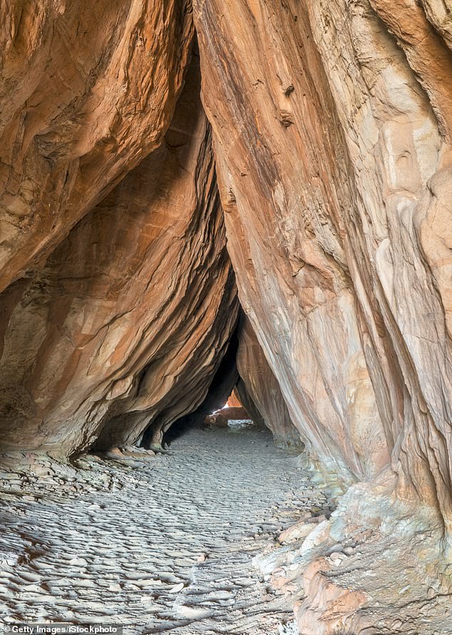 Ancient Petroglyphs in Utah's Tusher Tunnel Defaced by Vandalism, Sparking Outrage