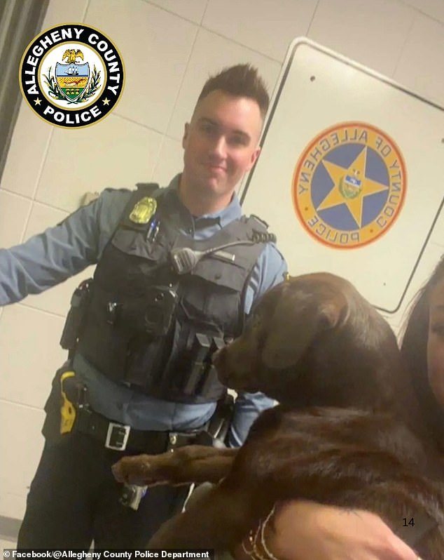 Chocolate Labrador Puppy Abandoned at Pittsburgh Airport, Prompting Police Intervention
