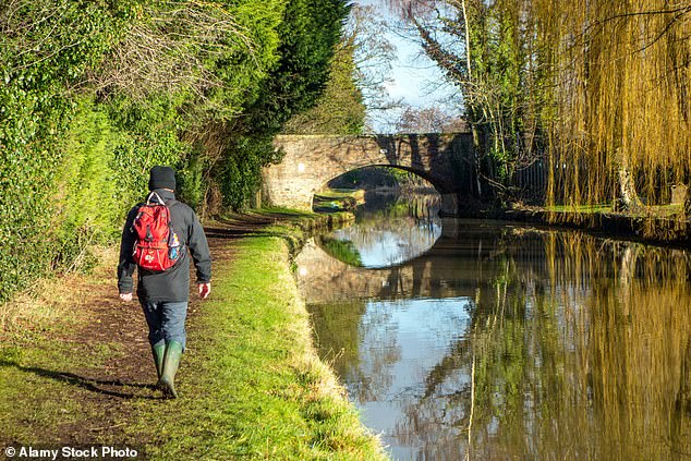 Simple Lifestyle Tweaks: Brisk Walking, Extra Sleep, and More Vegetables Cut Heart Attack and Stroke Risk by 10%