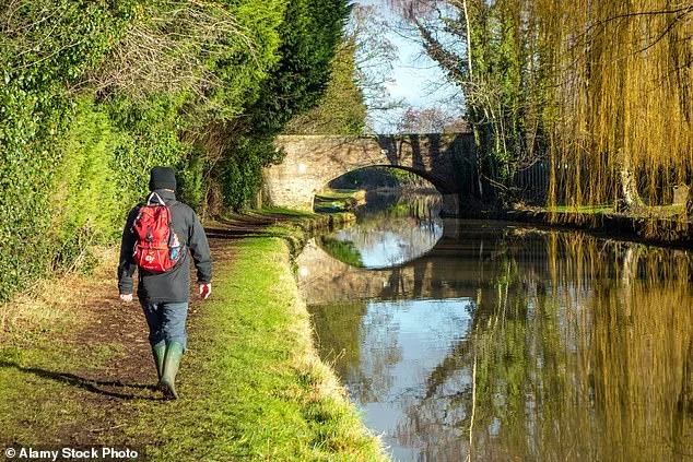 Simple Lifestyle Tweaks: Brisk Walking, Extra Sleep, and More Vegetables Cut Heart Attack and Stroke Risk by 10%