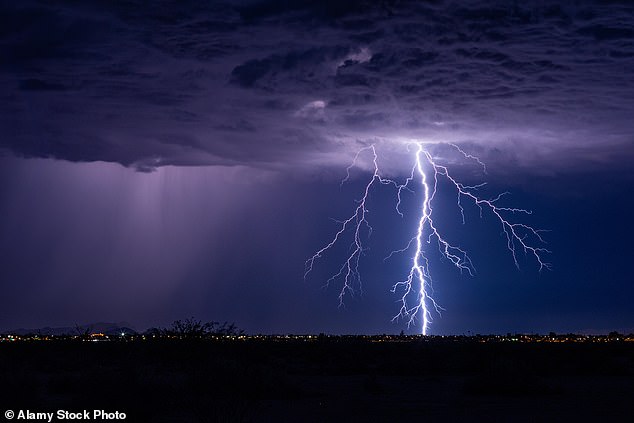 Surviving Lightning Four Times: A Story of Unyielding Resilience