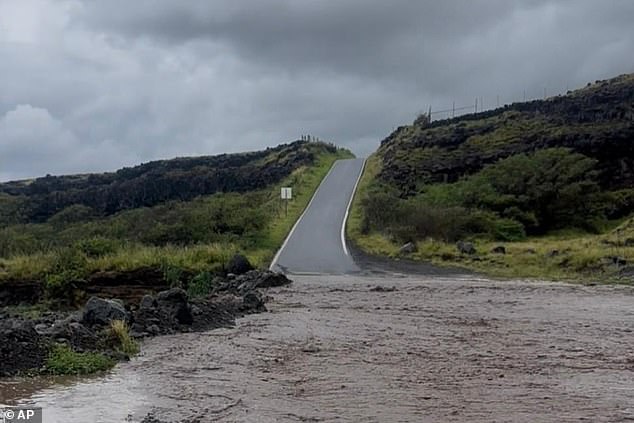 Cartel Chaos and Historic Flooding: Couple's Dream Vacation Turns Into Nightmare