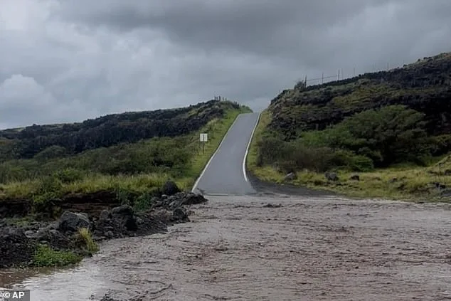 Cartel Chaos and Historic Flooding: Couple's Dream Vacation Turns Into Nightmare