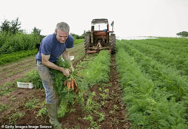 The 'Organic' Label: A Closer Look at What It Really Means