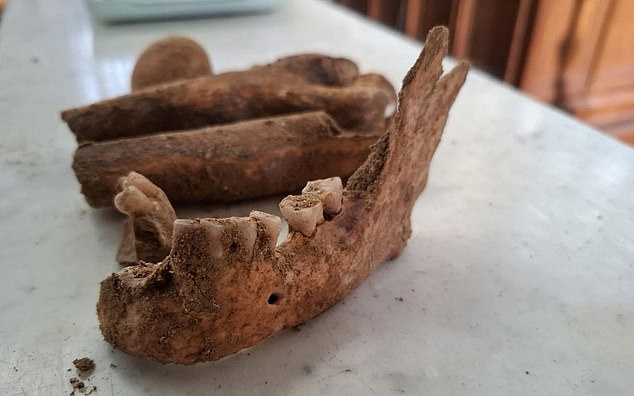 Skeleton Unearthed in Netherlands May Finally Solve 350-Year-Old Mystery of D'Artagnan