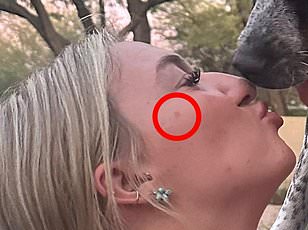 The X-Rays That Changed Everything: From Hip Dysplasia to Fractures