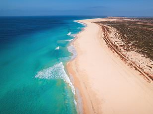 Doctors Warn of Surge in Travel-Related Infectious Diseases Straining NHS