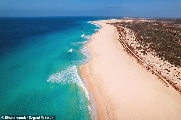 Doctors Warn of Surge in Travel-Related Infectious Diseases Straining NHS