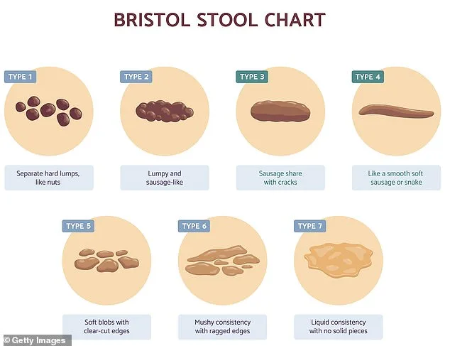 The Digestive Dilemma: How Even the Most Accomplished Struggle with Bodily Awareness