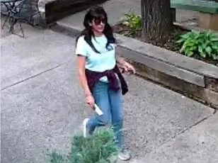 Congress Sets April 2026 Deadline for Release of Classified UFO Videos Amid National Security Concerns