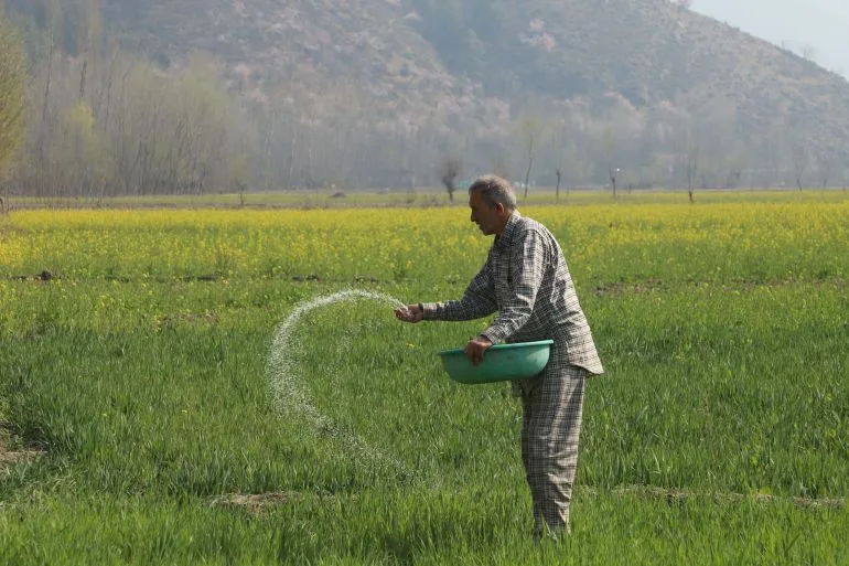 Geopolitical Crises Ripple Through Punjab: Farmers Battle Rising Costs and Uncertainty
