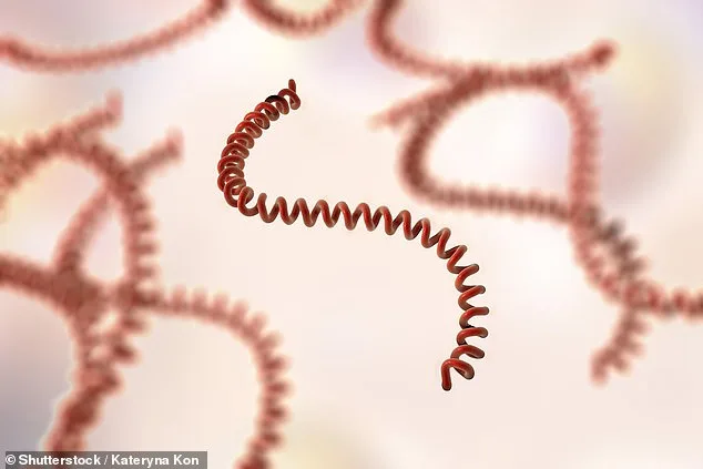 Health Officials Warn of Hidden Leptospirosis Threat in Hawaii Floodwaters After Storms