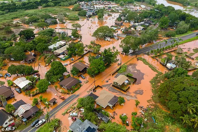 Health Officials Warn of Hidden Leptospirosis Threat in Hawaii Floodwaters After Storms