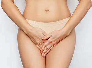 Breakthrough in Clitoral Anatomy: X-ray Imaging Reveals Nerve Network, Reshaping Understanding of Female Pleasure