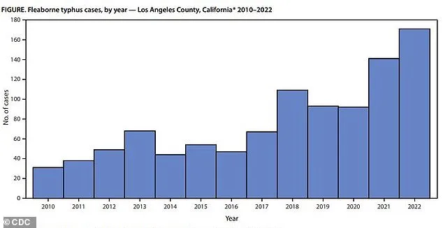 Los Angeles County Faces Record Surge in Flea-Borne Typhus Cases as Public Health Crisis Erupts