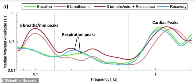 5 Science-Backed Morning Habits to Lower Blood Pressure Without Medication