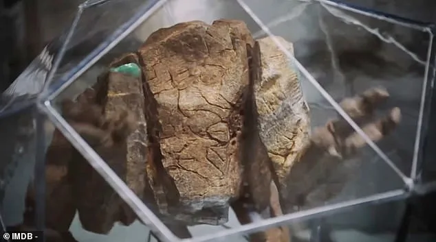 NASA's Artemis II Crew Captures Hearts with 'Amaze!' Moment During Lunar Flyby