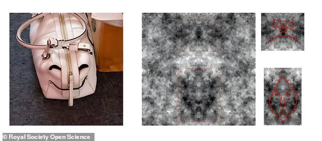 Study Reveals Bias in Face Pareidolia: Why We See More Male Faces in Ambiguous Objects