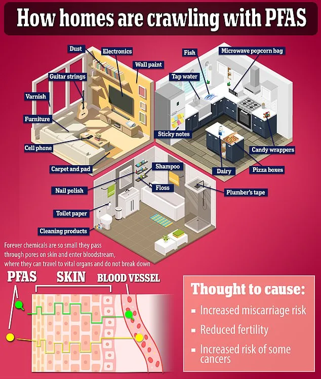 Toxic Flame Retardants in British Furniture: A Hidden Health Crisis