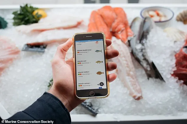 Cod and Chips at a Crossroads: Overfishing and Climate Change Threaten a British Culinary Icon