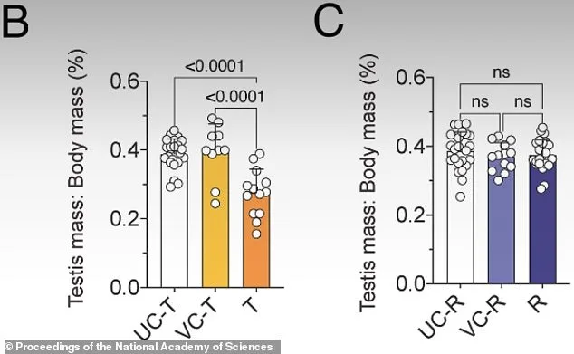Reversible Male Contraception Breakthrough Could Redefine Family Planning