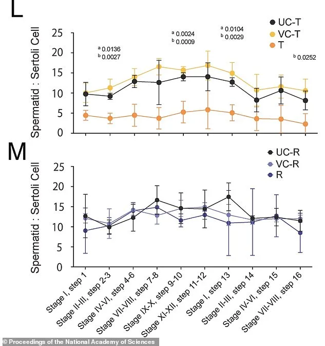 Reversible Male Contraception Breakthrough Could Redefine Family Planning