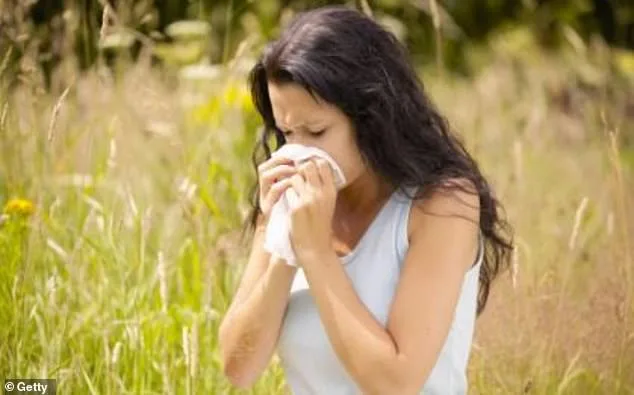 Pollen Bomb Sparks Concern Over Hay Fever Medication Overuse in UK