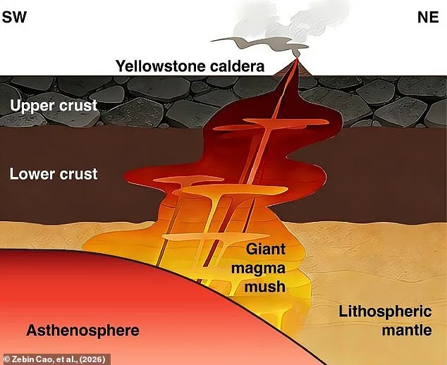 New Study Reveals Shallow Magma Source Under Yellowstone, Raising Eruption Concerns