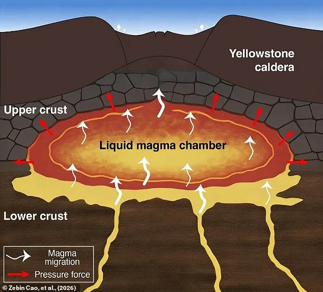 New Study Reveals Shallow Magma Source Under Yellowstone, Raising Eruption Concerns