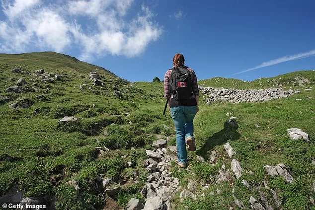 Americans Flag-Jacking Canadians in Ireland to Avoid Trump Association.