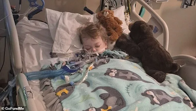 Colorado Toddler's Battle with Illness Ends in Imminent Death