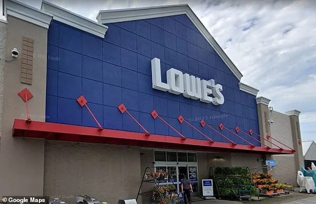 Lowe's Employees Stumble Upon Kitten Nursery