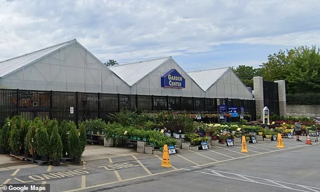 Lowe's Employees Stumble Upon Kitten Nursery
