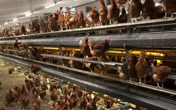 Merci Handy: Hand Sanitizer with a Sensory Twist