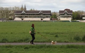 Rescuing Stranded Whale: Germany's Gentle Approach.