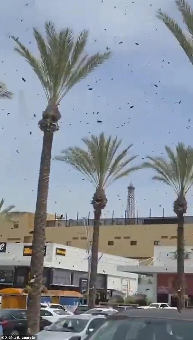 Netivot residents seal windows as massive bee swarm sparks biblical prophecy fears