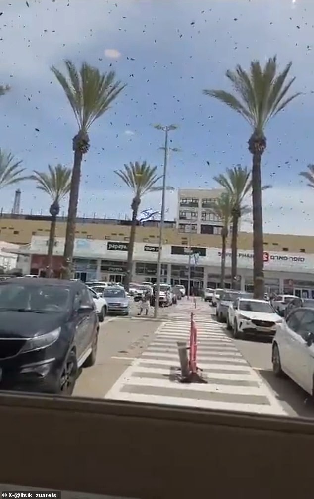 Netivot residents seal windows as massive bee swarm sparks biblical prophecy fears