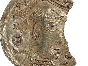 Netivot residents seal windows as massive bee swarm sparks biblical prophecy fears