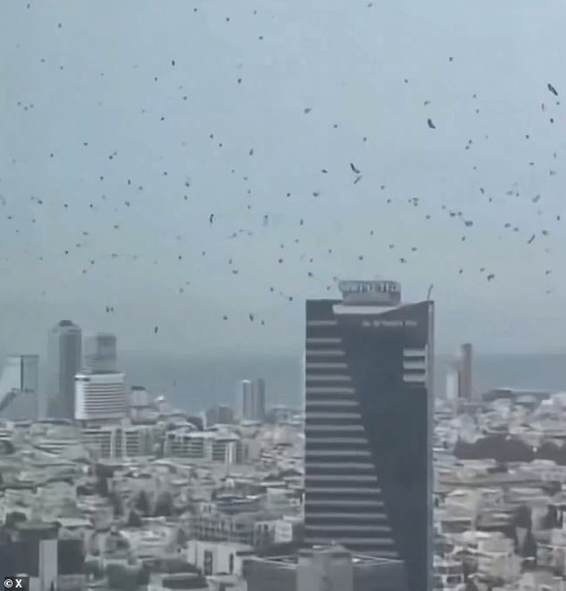Netivot residents seal windows as massive bee swarm sparks biblical prophecy fears