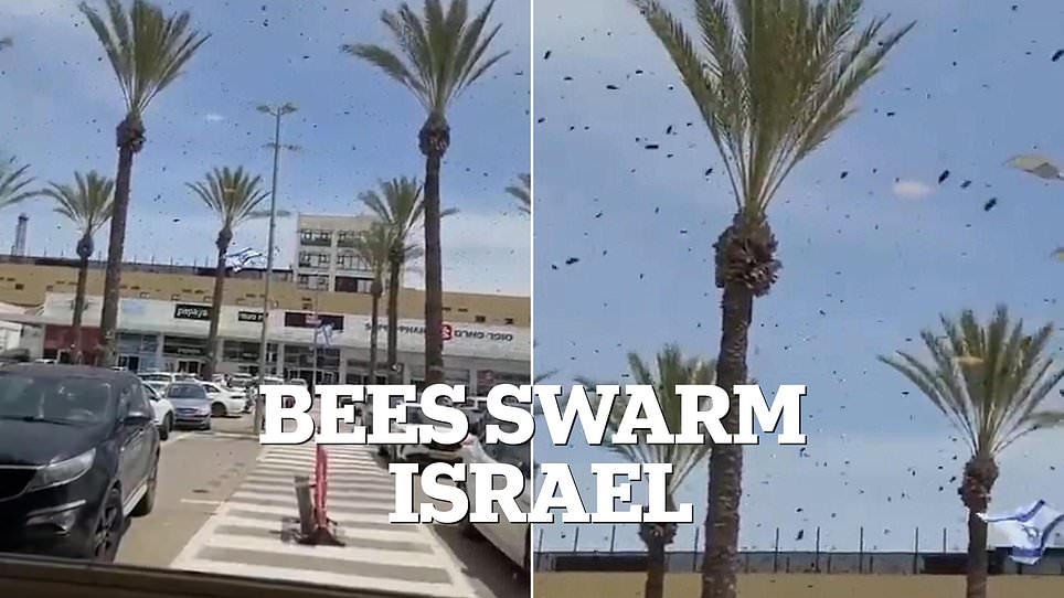 Netivot residents seal windows as massive bee swarm sparks biblical prophecy fears