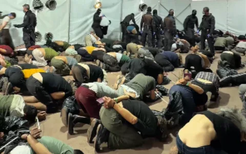 Hundreds of detained pro-Palestinian activists deported after abuse allegations