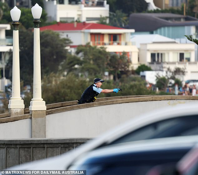 Bondi Massacre: 15 Dead in 29 Seconds as Police Rush to Scene